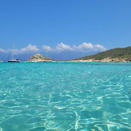 Apartamento New ô Cosy T2 -