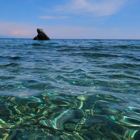 Apartamento New ô Cosy T2 - *