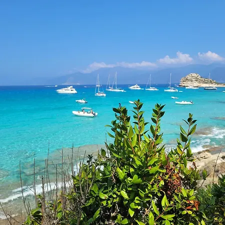 New O Cosy T2 - Bastia Appartement *