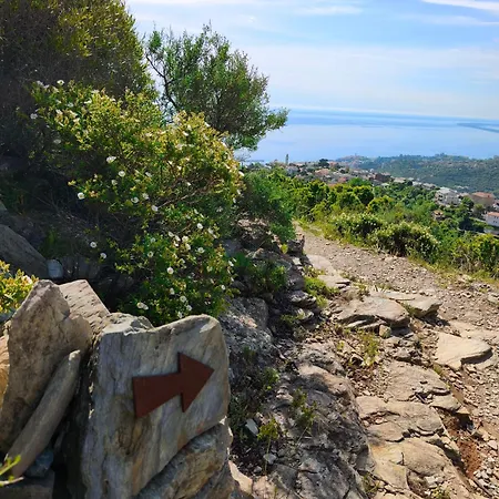 New O Cosy T2 - Διαμέρισμα *