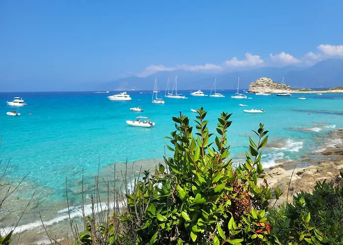 New O Cosy T2 - דירה *