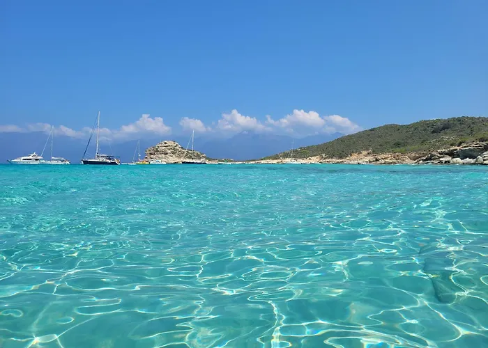 דירה New O Cosy T2 -