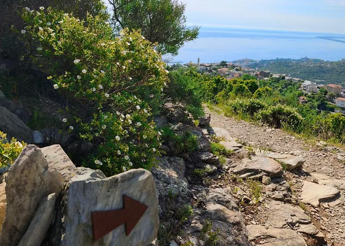 New O Cosy T2 - דירה *