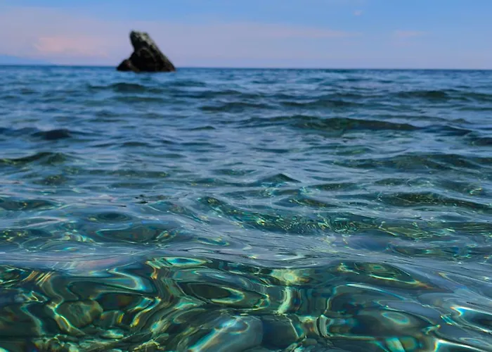 דירה New O Cosy T2 - *